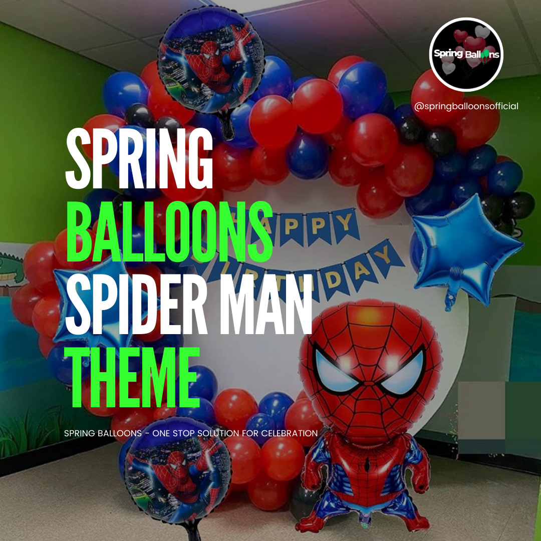 Spider Man birthday decoration kit